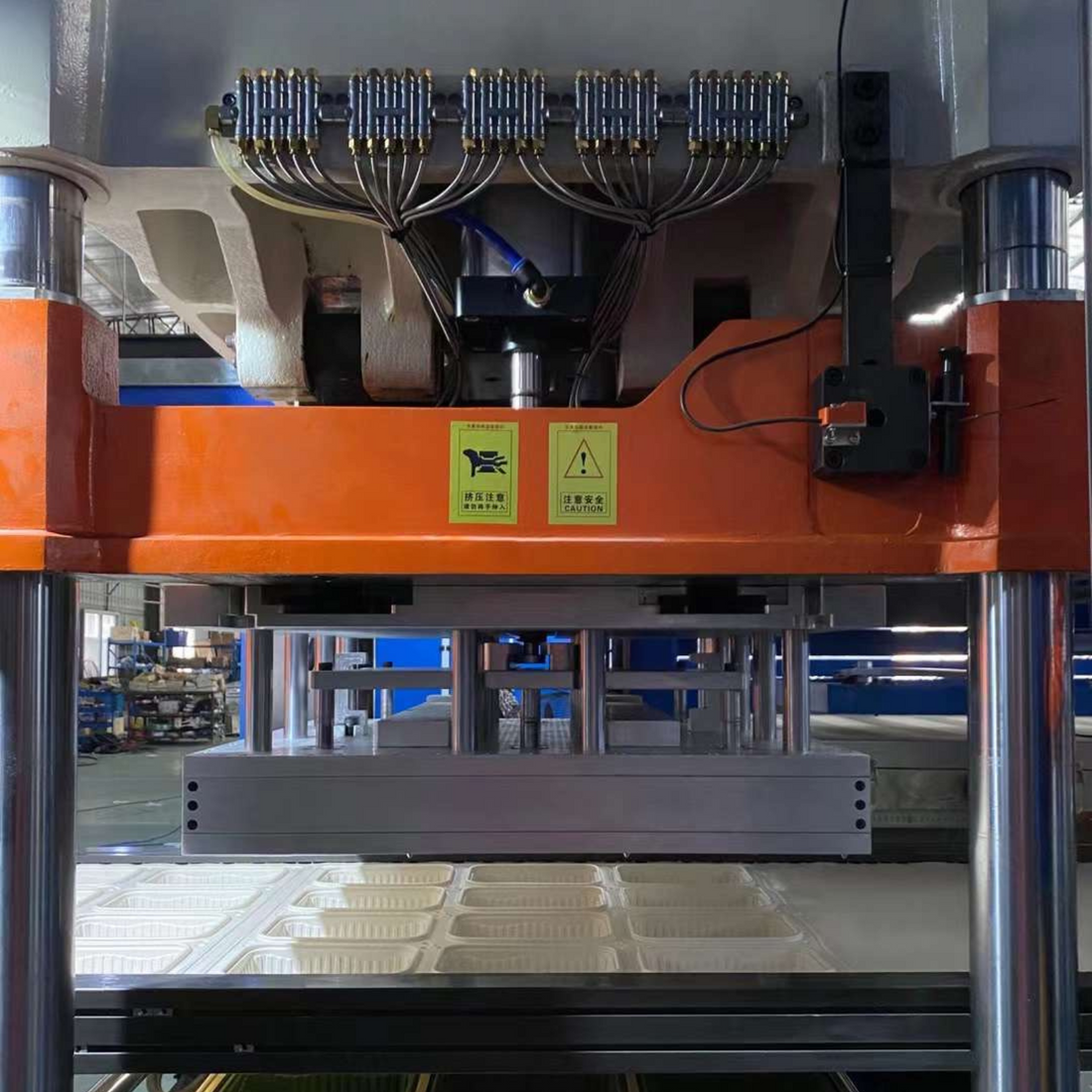 In-line Thermoforming Machinery – HAMMERHEAD INDUSTRIAL